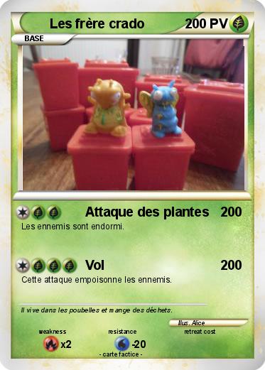 Pokemon Les frère crado