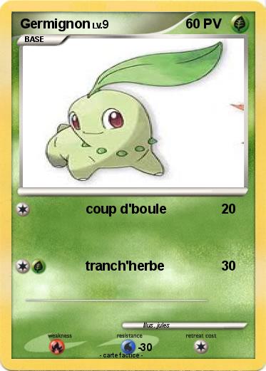 Pokemon Germignon