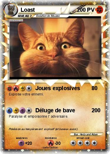 Pokemon Loast
