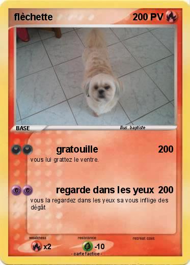 Pokemon flèchette