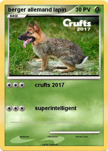 Pokemon berger allemand lapin