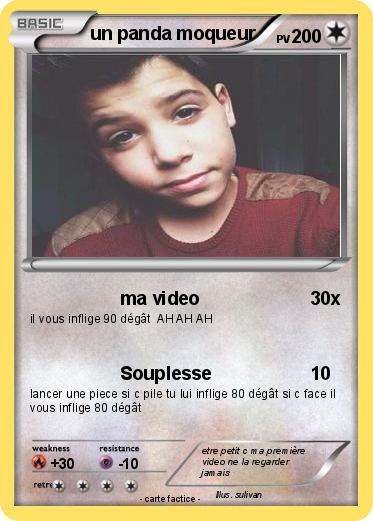 Pokemon un panda moqueur