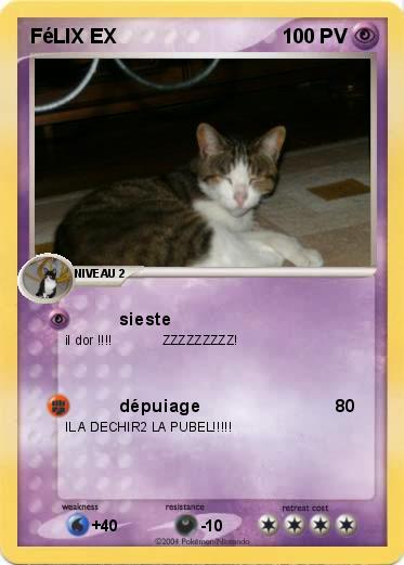Pokemon FéLIX EX