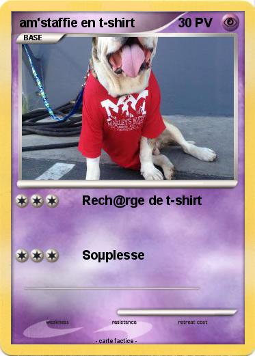 Pokemon am'staffie en t-shirt