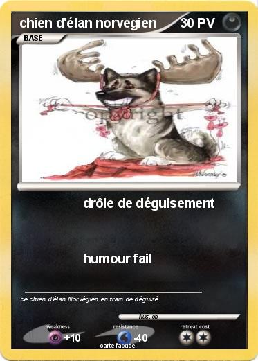 Pokemon chien d'élan norvegien
