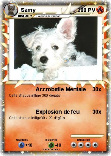 Pokemon Samy