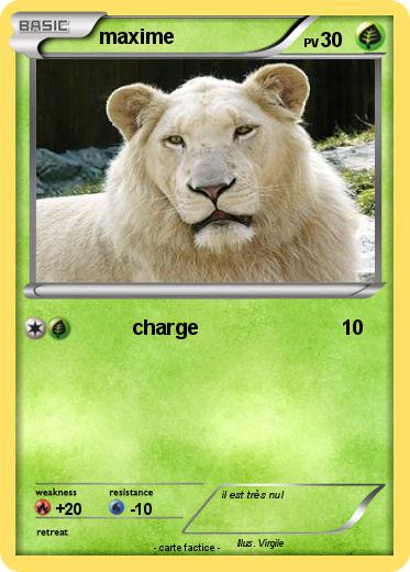 Pokemon maxime