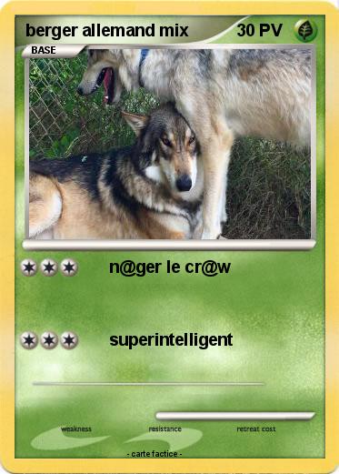 Pokemon berger allemand mix