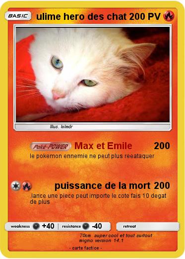 Pokemon ulime hero des chat