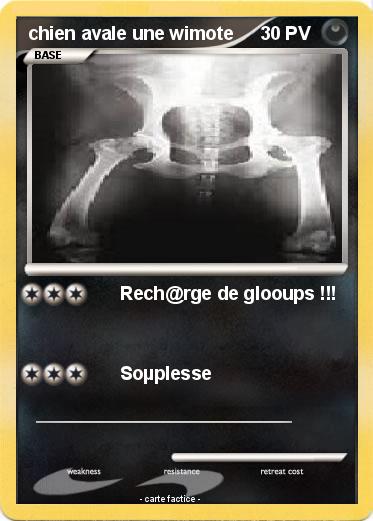 Pokemon chien avale une wimote