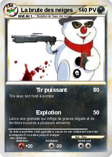 Pokemon La brute des neiges