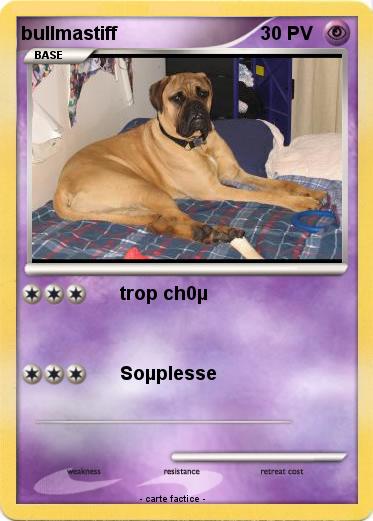 Pokemon bullmastiff