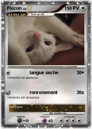 Pokemon Flocon