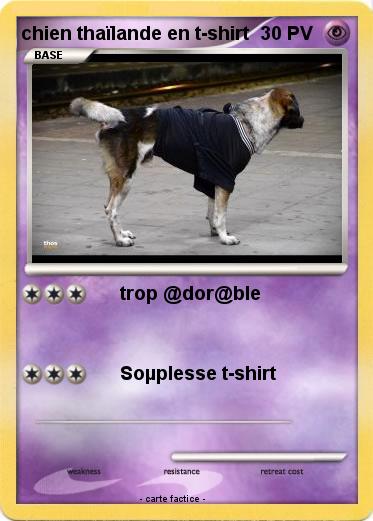 Pokemon chien thaïlande en t-shirt