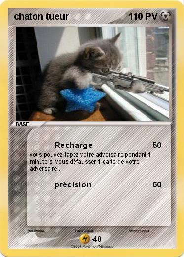 Pokemon chaton tueur