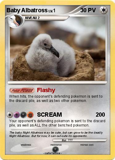 Pokemon Baby Albatross