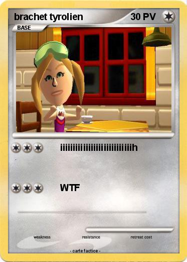 Pokemon brachet tyrolien