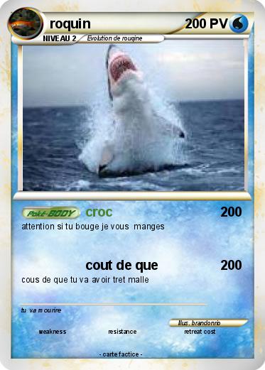 Pokemon roquin