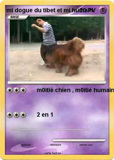 Pokemon mi dogue du tibet et mi humain