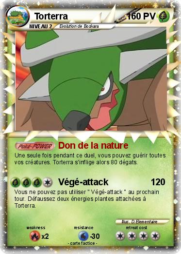 Pokemon Torterra