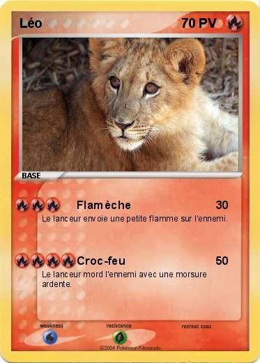 Pokemon Léo