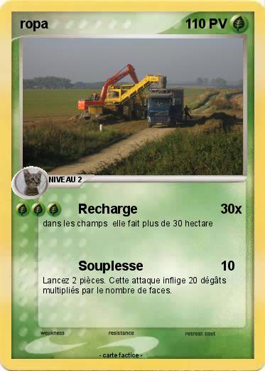 Pokemon ropa