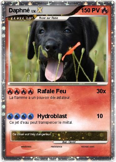 Pokemon Daphné