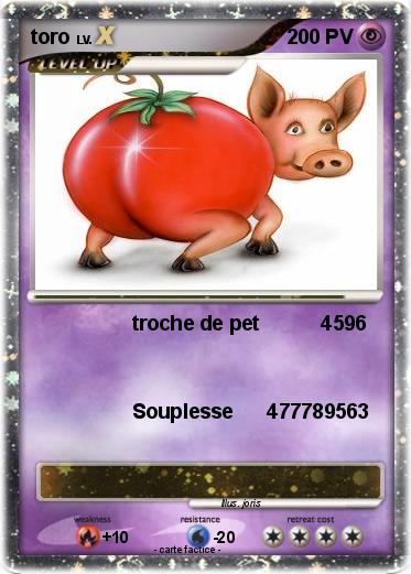 Pokemon toro