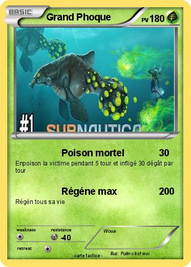 Pokemon Grand Phoque