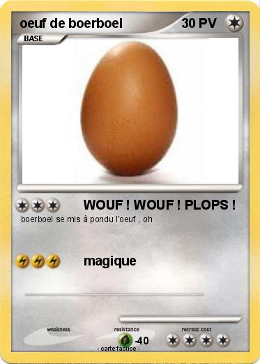 Pokemon oeuf de boerboel