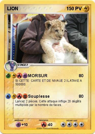 Pokemon LION