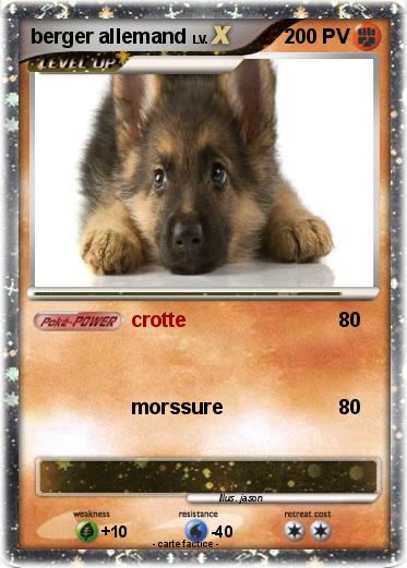 Pokemon berger allemand