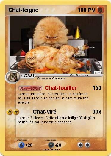 Pokemon Chat-teigne