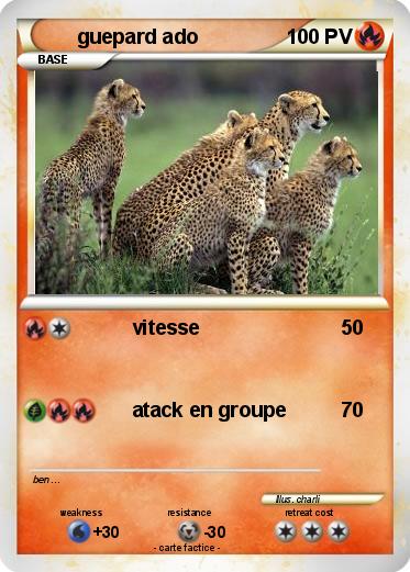 Pokemon guepard ado