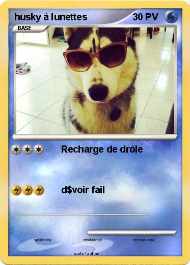 Pokemon husky à lunettes