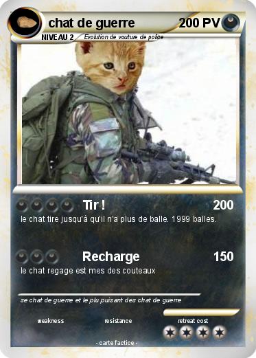 Pokemon chat de guerre