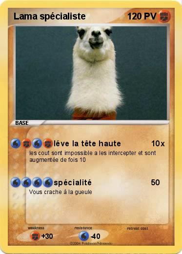 Pokemon Lama spécialiste
