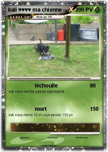 Pokemon kali ♥♥♥♥ ma chienne