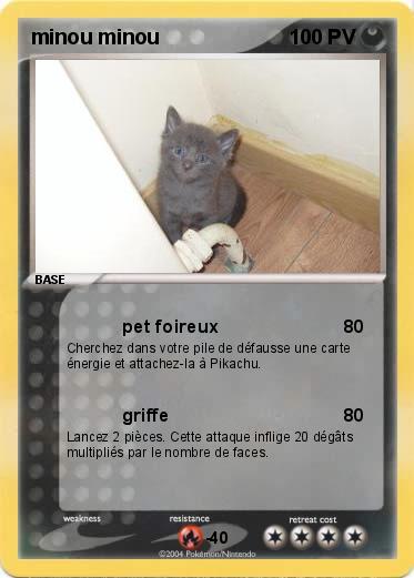 Pokemon minou minou