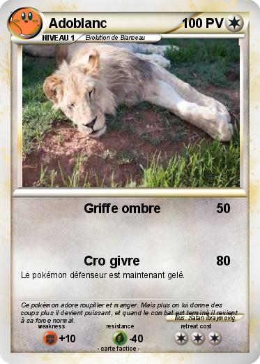 Pokemon Adoblanc