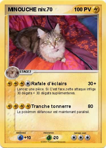 Pokemon MINOUCHE niv.70