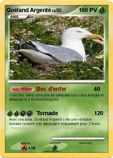 Pokemon Goéland Argenté