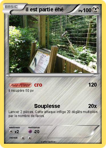 Pokemon il est partie éhé