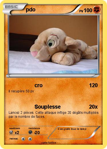 Pokemon pdo