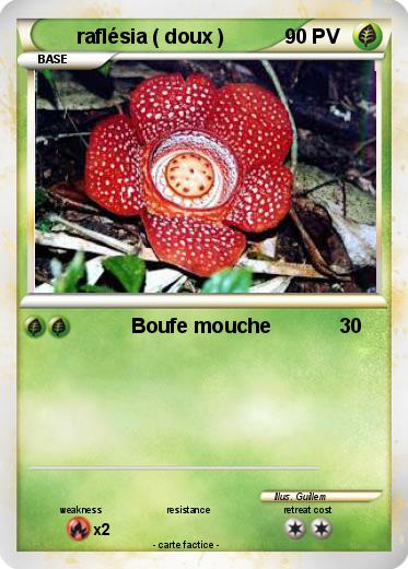 Pokemon raflésia ( doux )