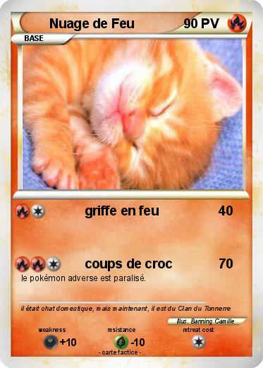 Pokemon Nuage de Feu
