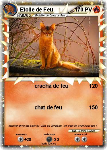 Pokemon Etoile de Feu