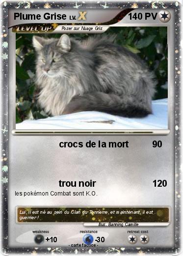 Pokemon Plume Grise