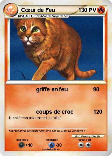 Pokemon Cœur de Feu