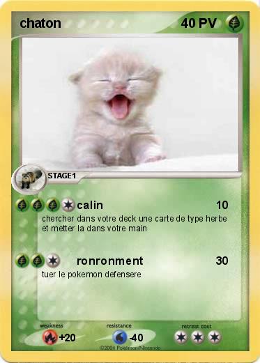 Pokemon chaton